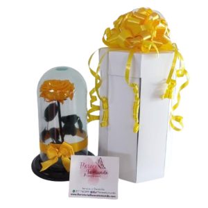 Rosa-preservada-Amarilla-en-caja-sorpresa-floristeria-