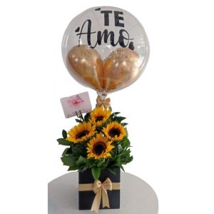 Cubito de girasoles -Forestería Cali